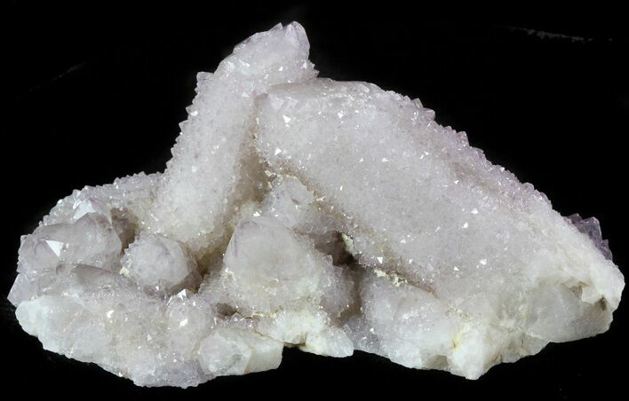 Cactus Quartz (Amethyst) Crystals - South Africa #47178